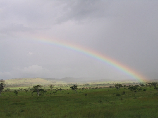 02- Arc-en-ciel malgache