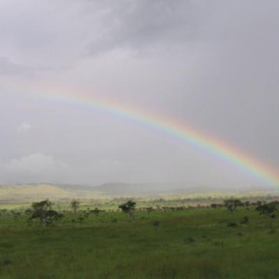 02- Arc-en-ciel malgache