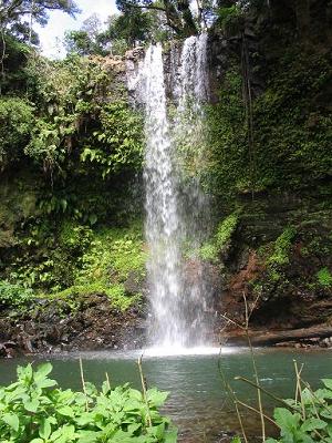 05- Cascade d'Antakarana (Montagne d'Ambre)