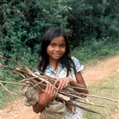 07- Une jeune fille ramassant du bois