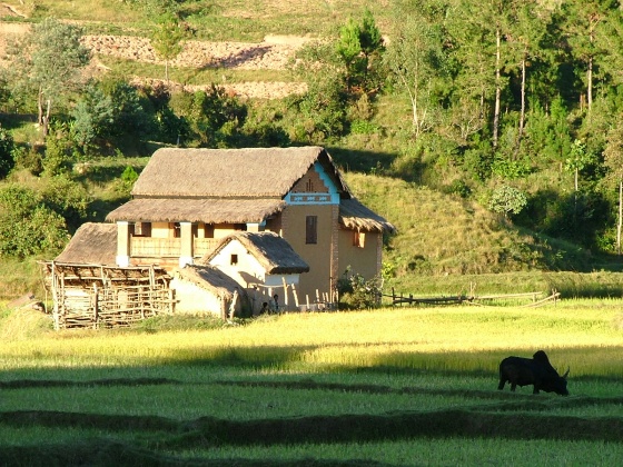 12- Hameau malgache