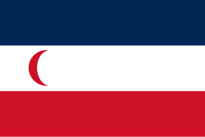 12 drapeau du protectorat francais de madagascsar de 1885 a 1896