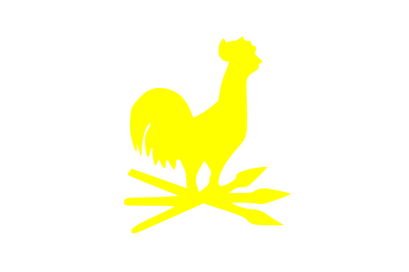 4 drapeau du royaume de tamatave de 1819 a 1822