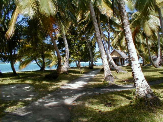 16- L'Ile aux Nattes