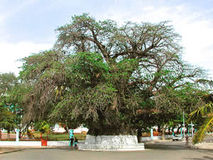 17- Majunga