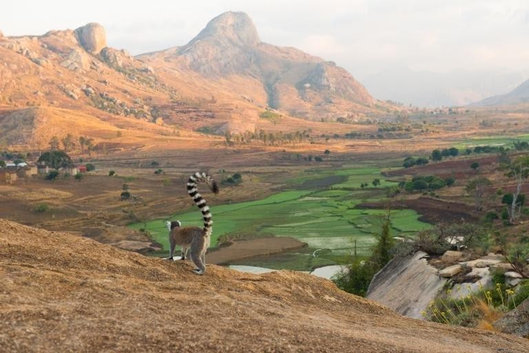 Réserve villageoise de Anja au sud de Fianarantsoa sur la route nationale 7